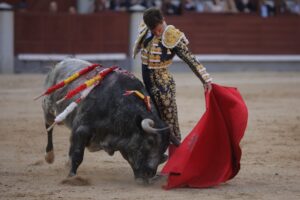 Corrida de Toros